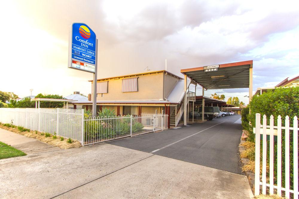 Harvest Lodge Motel - Gunnedah Buitenkant foto